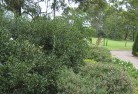 Hawthorn Northresidential-landscaping-35.jpg; ?>
