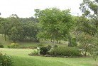 Hawthorn Northresidential-landscaping-40.jpg; ?>